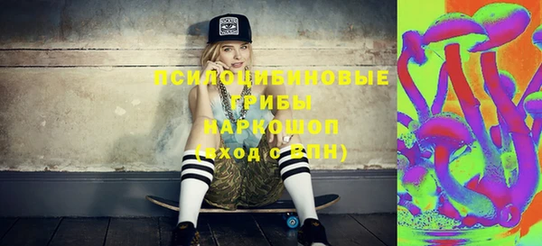 эйфоретик Пролетарск