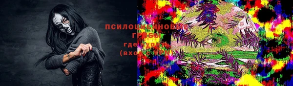 индика Абинск