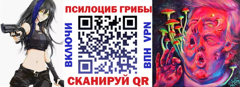 Галлюциногенные грибы Psilocybine cubensis  цены   Белая Калитва 