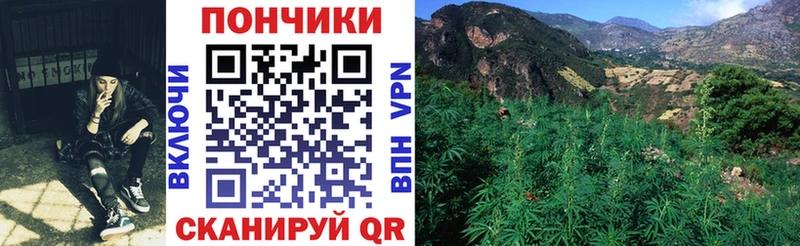 купить наркоту  Белая Калитва  МАРИХУАНА LSD WEED 